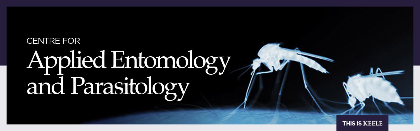 Centre for Applied Entomology and Parasitology banner