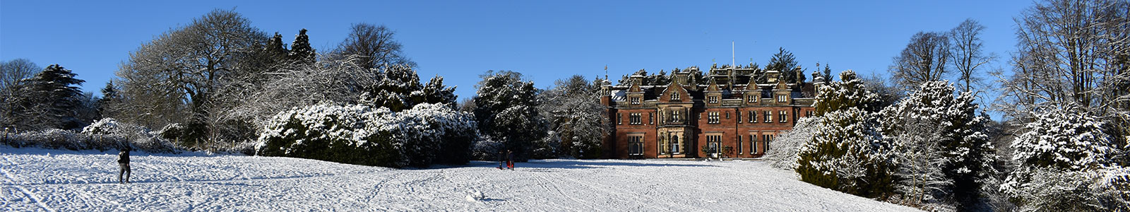 christmas-on-campus