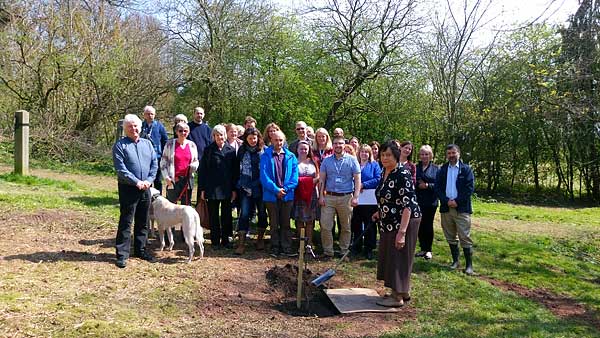 Planting of tree in memory of Richard Ward