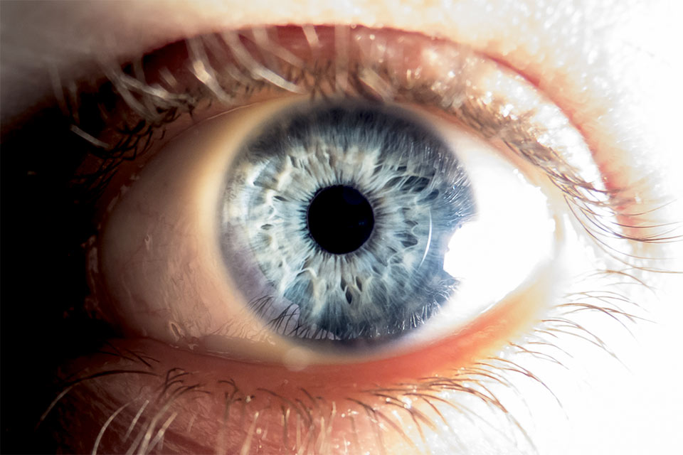 Curing Blindness With Stem Cells – Here’s The Latest Science - Keele 