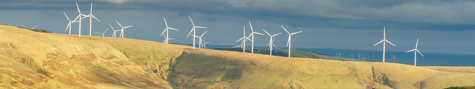 wind farm