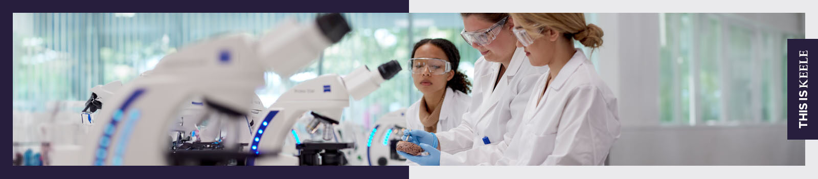 Computer Science and Neuroscience students looking at human brain 